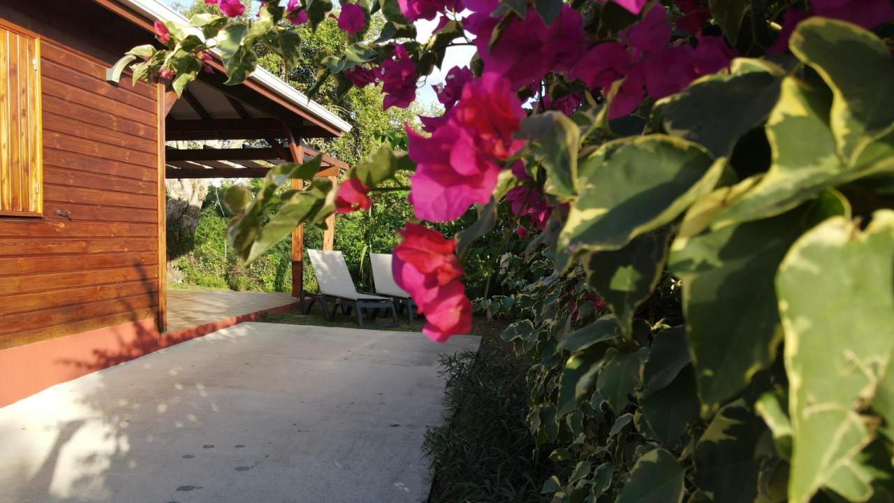 Kalypso - Les Villas Kikko Saint-Francois  Buitenkant foto